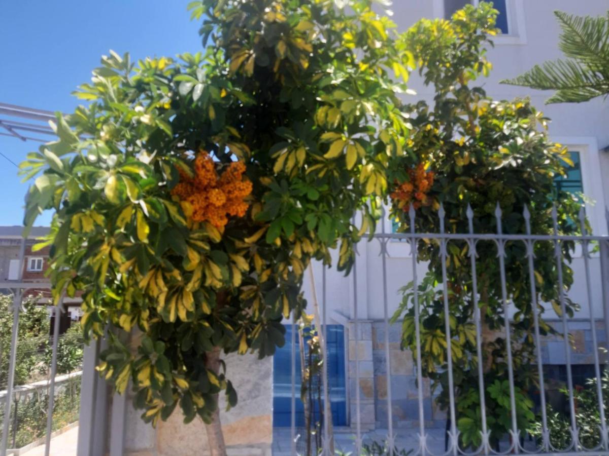 Vila Ester Ksamil Exterior photo