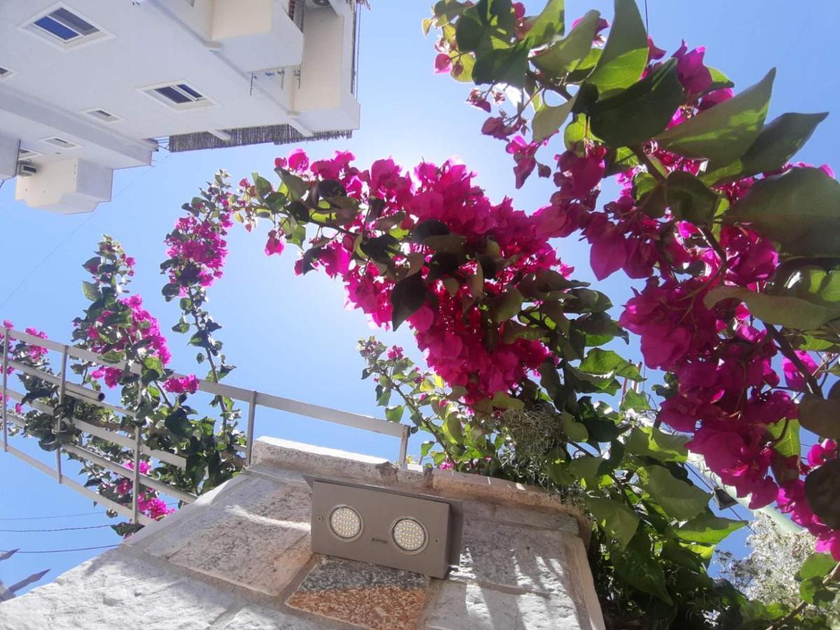 Vila Ester Ksamil Exterior photo