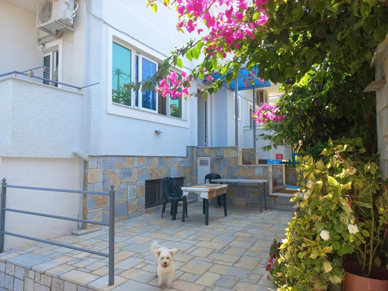 Vila Ester Ksamil Exterior photo
